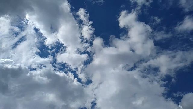 Занько Мария, учащаяся ГУО «СШ № 2 г  Ганцевичи»