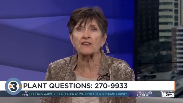 Linda answers viewers' plant, gardening questions смотреть онлайн