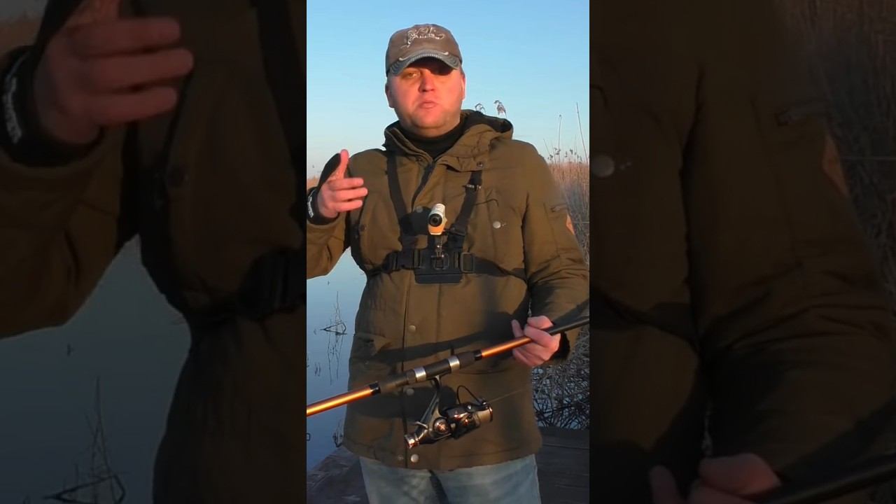 Тест карповика Akara Geden Carp #рыбалка #карповаяловля #карпфишинг #shorts смотреть онлайн