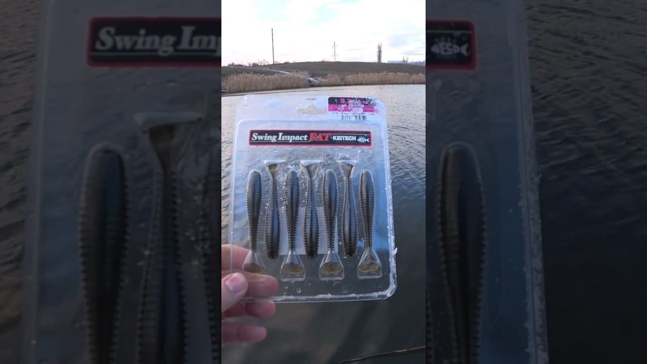 Keitech Swing Impact Fat #рыбалка #fishing #джиг #спиннинг #shorts смотреть онлайн