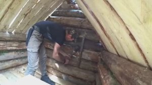 СТРОЮ ИЗБУ ИЗ ВЕТРОВАЛА. НАБИРАЮ ПОЛ, НАРЫ, ВСТАВЛЯЮ ДВЕРЬ. ПЕРВАЯ НОЧЬ С ДЕВУШКОЙ В ЗИМОВЬЕ.1 Серия