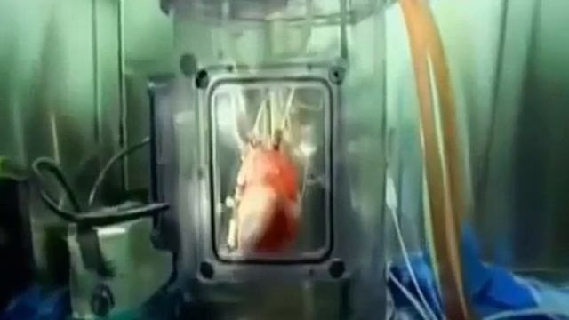 Самые шокирующие гипотезы смотреть онлайн