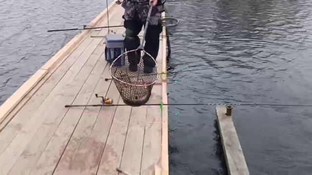 05-04-2025 смотреть онлайн