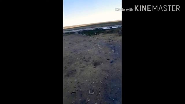 VLOG #2 Емдік Су🏖 Арал🇰🇿 смотреть онлайн