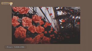 SAINt JHN - Roses •|slowed+reverb