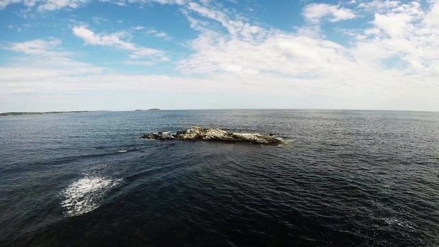 MOVAVI 22 02 06 2023 смотреть онлайн