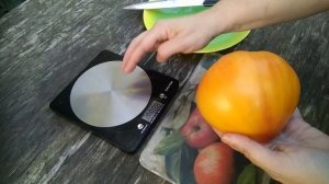 Томат Золотые горы Медео, дегустация, какой же он на вкус_