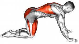 Лучшая утренняя Разминка