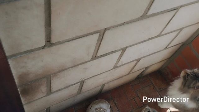 Дождь в деревне ,время как будто остановилась 🌧️ смотреть онлайн