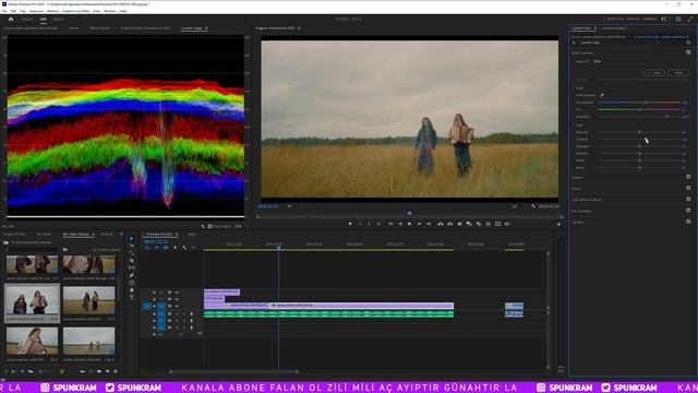 Lumetri Color ve Lumetri Scopes Nasıl Kullanılır? | Temel Premiere Pro Eğitimi смотреть онлайн