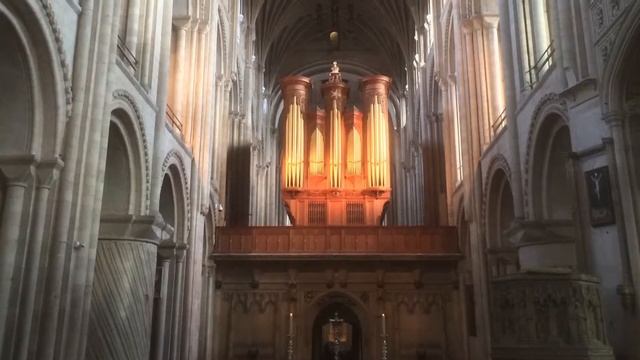 Toccata in Fugue in F at Norwich Cathedral смотреть онлайн