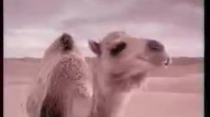 СТАРАЯ РЕКЛАМА PICNIC (Пикник) (настольгия 90-х/ реклама детства)