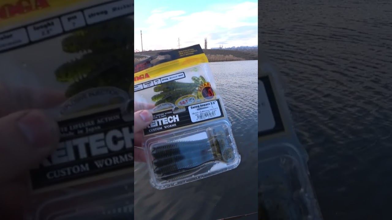 Swing Impact VS Tioga #рыбалка #fishing #джиг #shorts смотреть онлайн