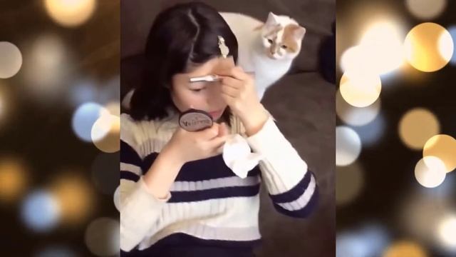 Кошки Смешная Видео Подборка - Видео 3 - 20:05 Минуты смотреть онлайн