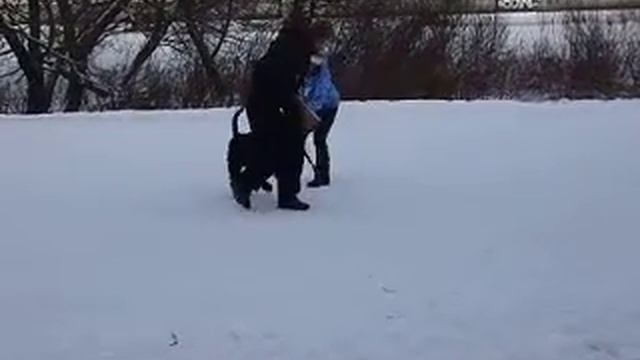 18 смотреть онлайн