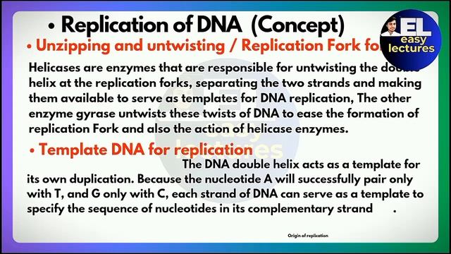 DNA Replication | DNA synthesis #dna #replication #dnareplication смотреть онлайн