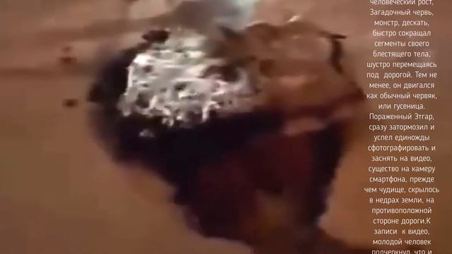 Гигантский червь полз ночную под дорогой в Мексике смотреть онлайн