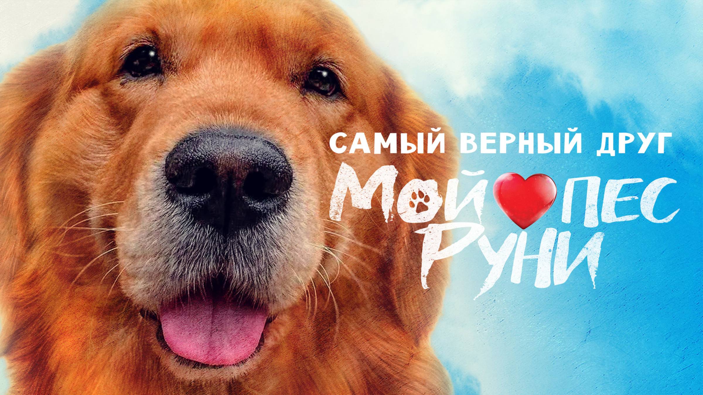 Мой пёс Руни | Русский трейлер | Фильм 2023 смотреть онлайн