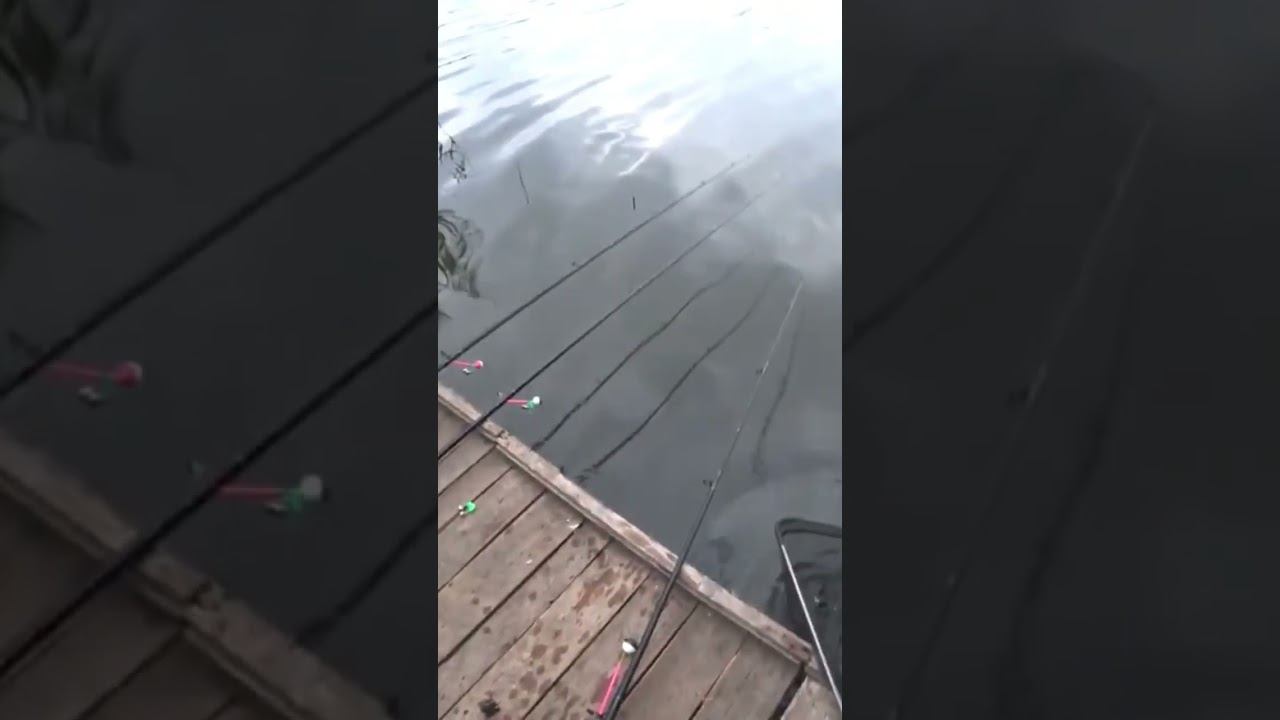 Лучшая погода для рыбалки #карась #рыбалка #fishing #shorts смотреть онлайн