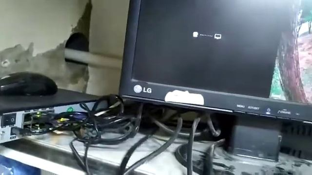 WhatsApp Video 2021 08 10 at 14 39 07 смотреть онлайн