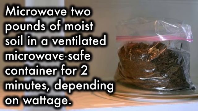 Unusual Yet Amazing Things Microwave Can Do