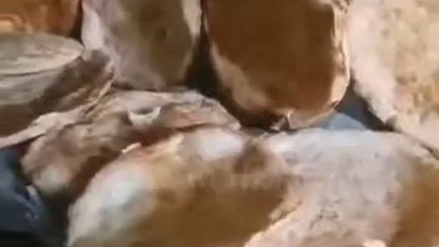 9 ноября 2021 г.