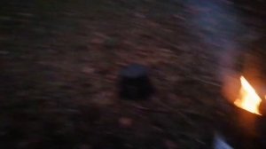 ПОЛЯКИ ВЫБРОСИЛИ РЖАВОЕ БАРБЕКЮ А МЫ НА НЁМ ЖАРИМ МЯСО!!!