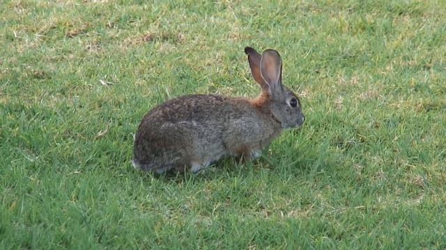 Own It 4 Start_it_9_1