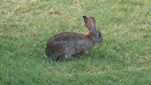 Own it 4 Start_it_9_1