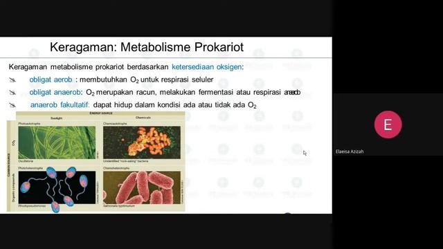 Tutor Sebaya 57 | Biologi pekan ke-10 смотреть онлайн