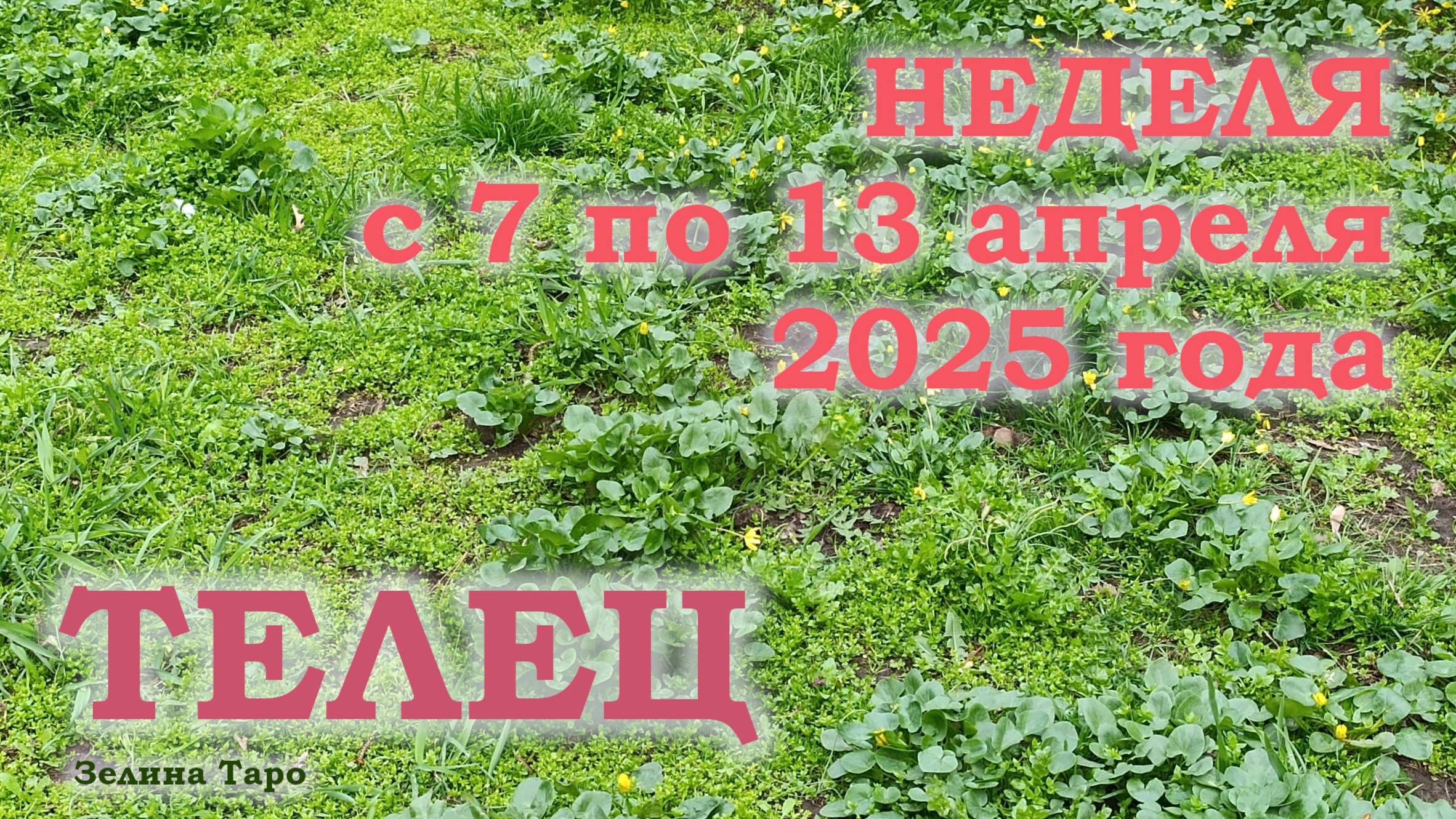 ТЕЛЕЦ | ТАРО прогноз на неделю с 7 по 13 апреля 2025 года