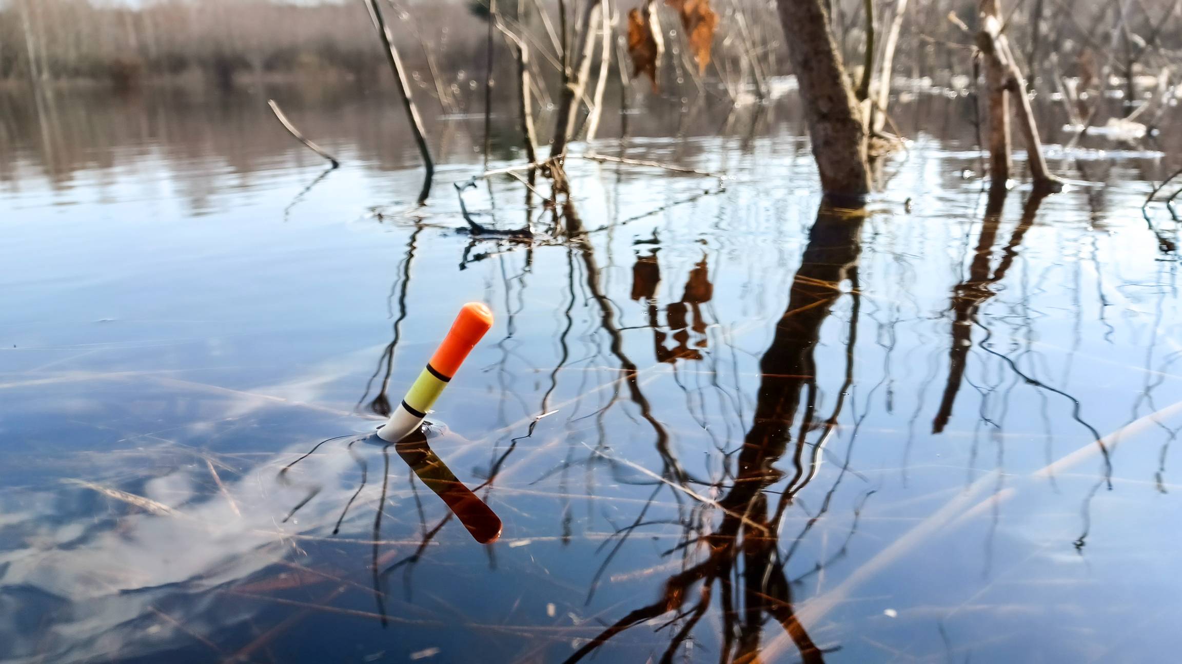 В ЗАТОПЛЕНЫХ КУСТАХ ПОДЫМАЕТ поплавок! Рыбалка в проводку в апреле смотреть онлайн