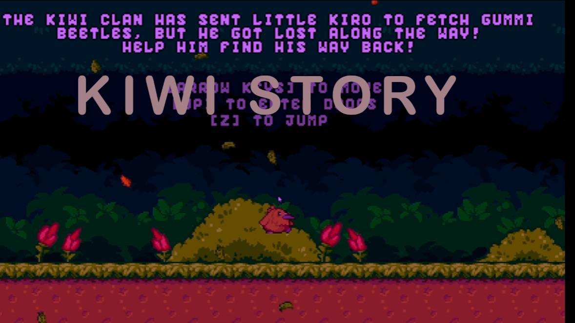 Kiwi Story