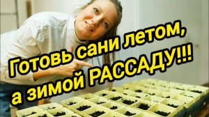 Готовь сани летом, а зимой РАССАДУ | ДОМ В ДЕРЕВНЕ | Деревенская жизнь | Семья в селе