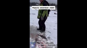 Рыбалка. Ловим форель