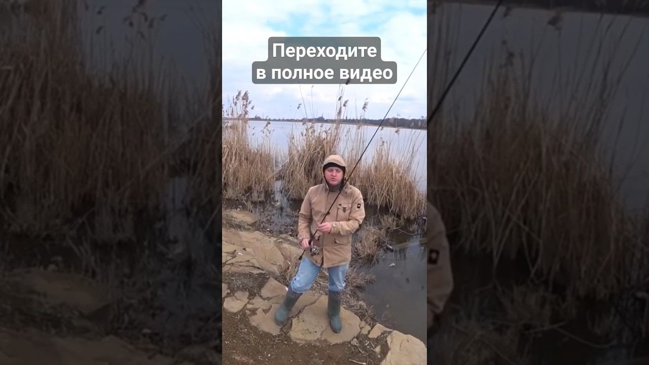 Вращающиеся блёсны на весеннюю щуку #щука #рыбалка #весна #спиннинг #блеснанащуку #shorts смотреть онлайн