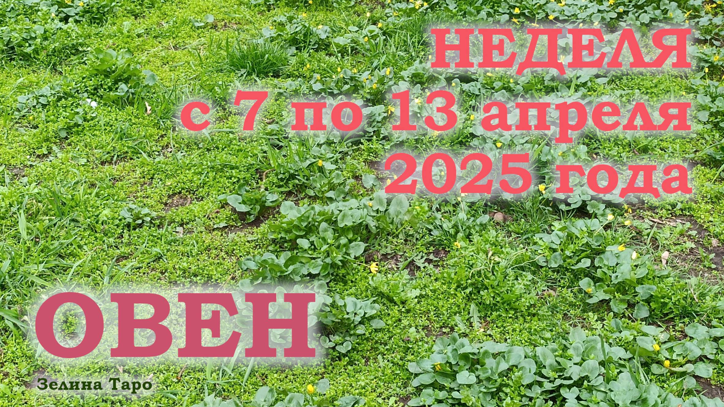 ОВЕН | ТАРО прогноз на неделю с 7 по 13 апреля 2025 года