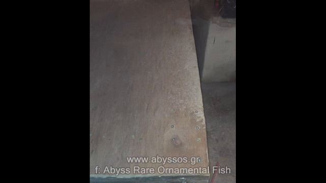 How to make a 1800lt pond from pallet & plywood. смотреть онлайн