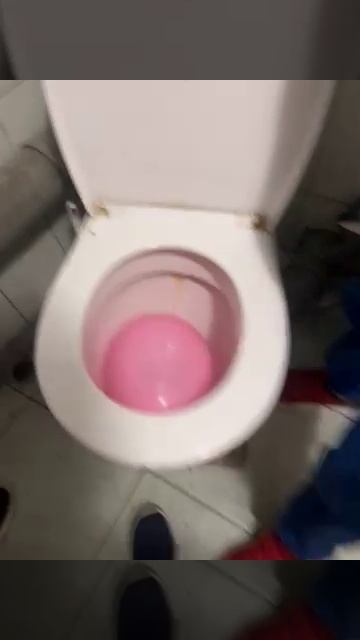 Увидел Skibidi туалета