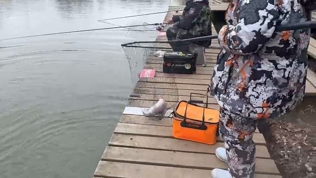 На банан Основной водоем смотреть онлайн