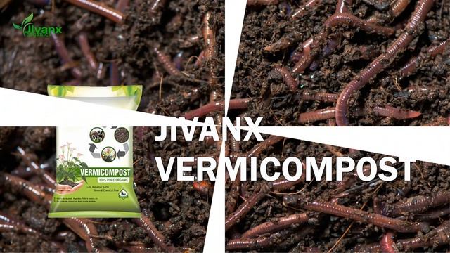 Jivanx Organics Vermicompost смотреть онлайн