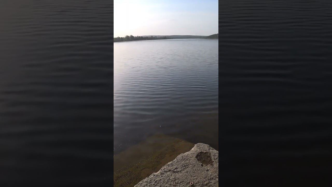 Эх, на рыбалку бы #рыбалка #fishing #велоспорт #shorts смотреть онлайн
