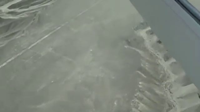 Colibri - Nazca - Peru - 09/01/11 смотреть онлайн