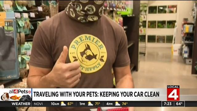 Traveling with pets while keeping your car clean смотреть онлайн