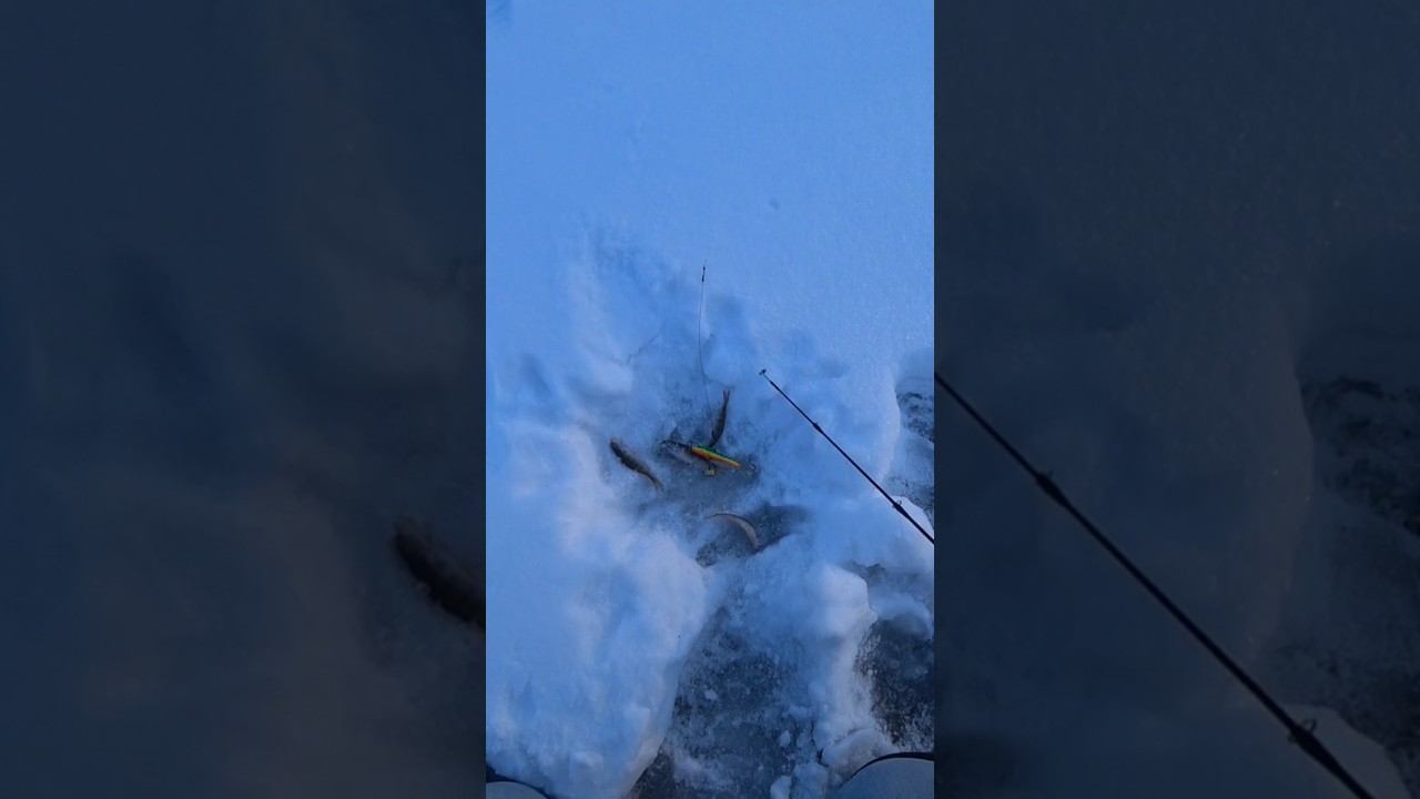 А вы за какую рыбалку? #рыбалка #зимняярыбалка #shorts смотреть онлайн