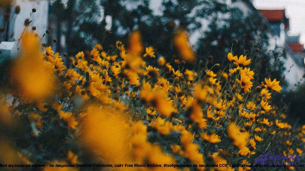 ✸ ♫ ❤ Мелодия, проникающая в самое сердце - Artificial Rain ( LoF I, Chill ) -- Lo-Fi Astronaut -- L