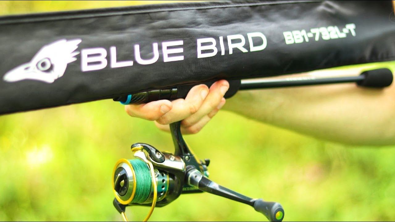 Большой обзор спиннинга Favorite Blue Bird 20 (BB1-732L-T). Лучший спиннинг для ДЖИГА и не только смотреть онлайн