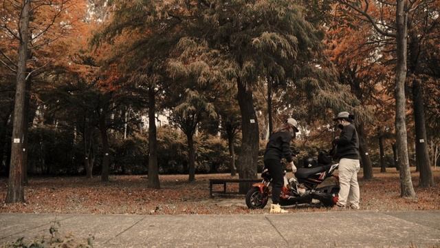 Grading 8 bit footage | HLG 3 | autumn look смотреть онлайн