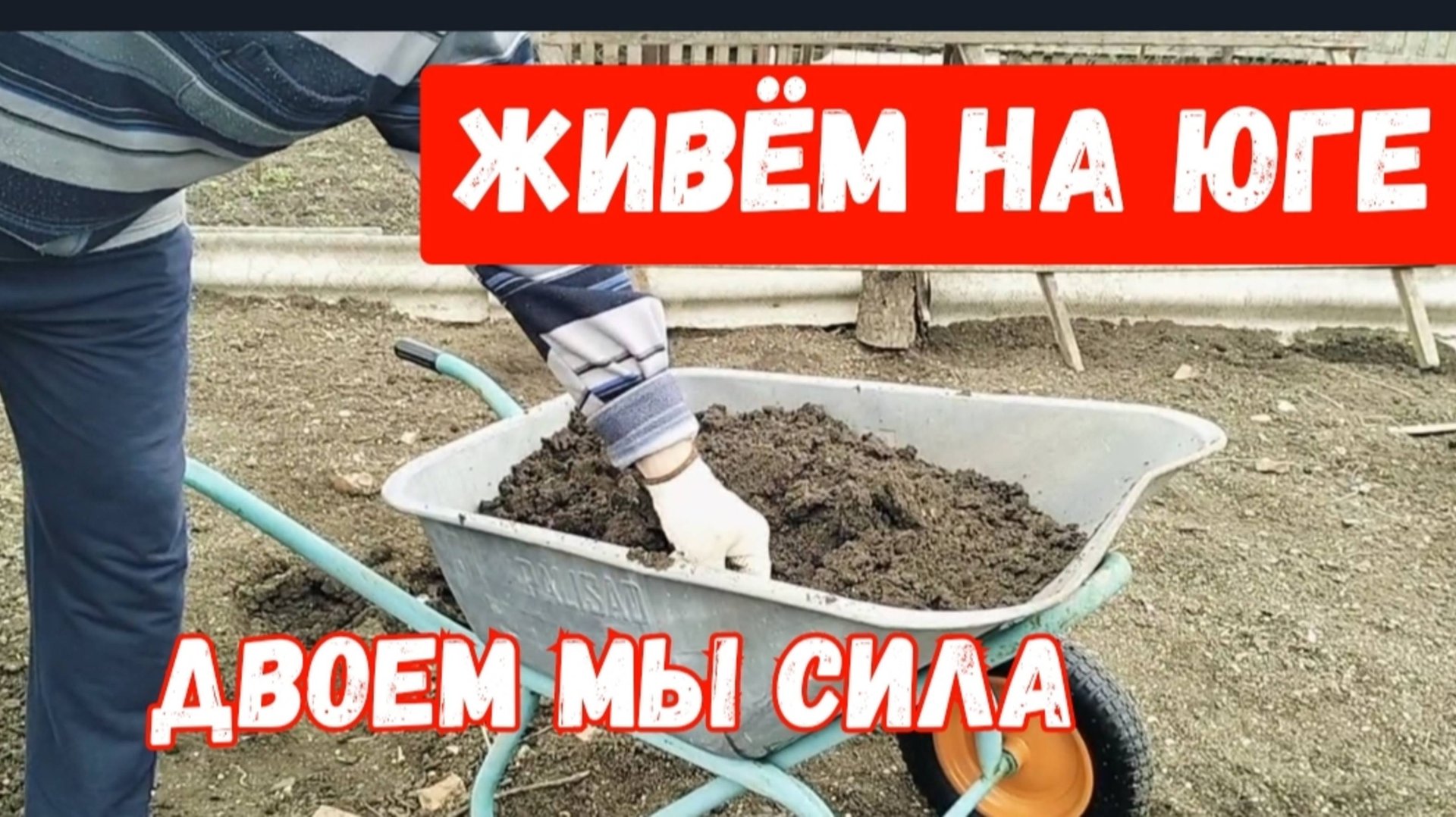 Двоем мы сила/Заказы с Валдберис/Костюм для улицы/Наполнили грядки смотреть онлайн