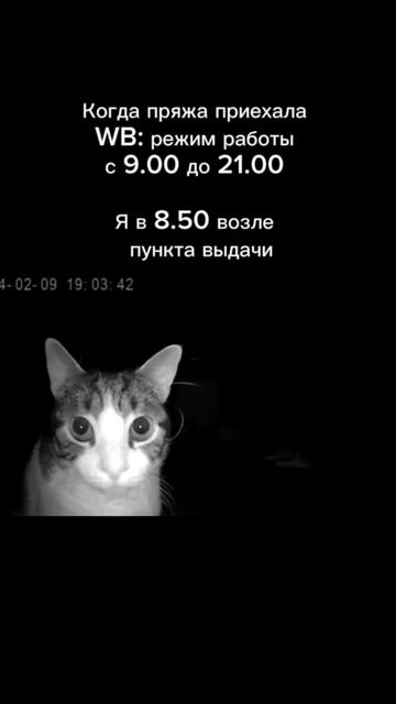 Ждемс смотреть онлайн